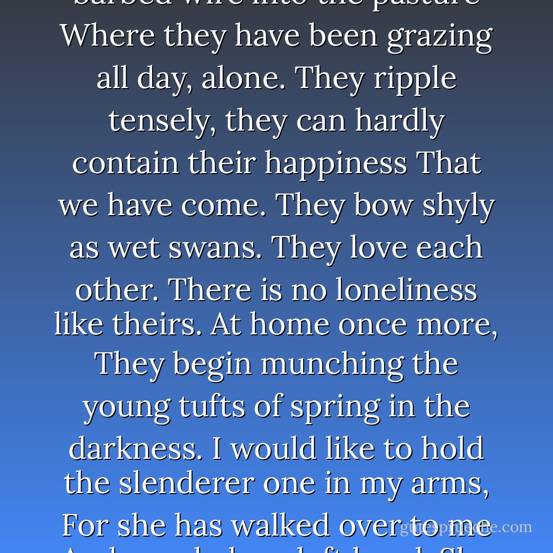 <b>A Blessing</b><br /><br />Just off the highway to Rochester, Minnesota,<br />Twilight bounds softly forth on the grass.<br />And the eyes of those two Indian ponies<br />Darken with kindness.<br />They have come gladly out of the willows<br />To welcome my friend and me.<br />We step over the barbed wire into the pasture<br />Where they have been grazing all day, alone.<br />They ripple tensely, they can hardly contain their happiness<br />That we have come.<br />They bow shyly as wet swans. They love each other.<br />There is no loneliness like theirs.<br />At home once more,<br />They begin munching the young tufts of spring in the darkness.<br />I would like to hold the slenderer one in my arms,<br />For she has walked over to me<br />And nuzzled my left hand.<br />She is black and white,<br />Her mane falls wild on her forehead,<br />And the light breeze moves me to caress her long ear<br />That is delicate as the skin over a girl's wrist.<br />Suddenly I realize<br />That if I stepped out of my body I would break<br />Into blossom. - James Wright