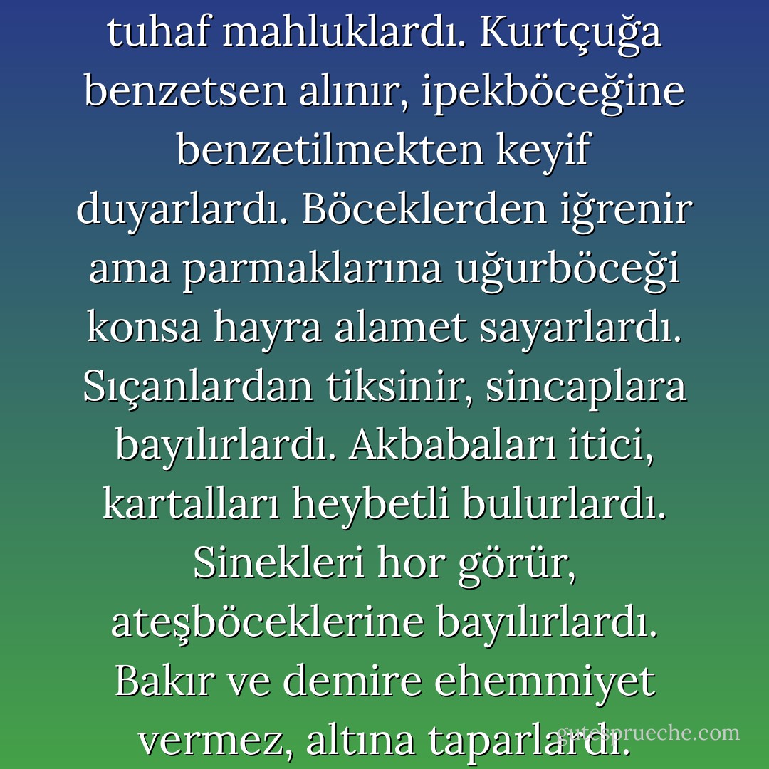 İnsan ömrü kısaydı, bir kurtçuğunkinden farksız. Ya da ipekböceğininkinden. Ademoğulları, Havvakızları tuhaf mahluklardı. Kurtçuğa benzetsen alınır, ipekböceğine benzetilmekten keyif duyarlardı. Böceklerden iğrenir ama parmaklarına uğurböceği konsa hayra alamet sayarlardı. Sıçanlardan tiksinir, sincaplara bayılırlardı. Akbabaları itici, kartalları heybetli bulurlardı. Sinekleri hor görür, ateşböceklerine bayılırlardı. Bakır ve demire ehemmiyet vermez, altına taparlardı. Ayaklarının altındaki taşlara dönüp bakmazken mücevherler için delirirlerdi. - Elif Shafak