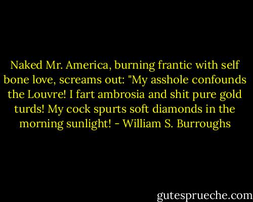 Naked Mr. America, burning frantic with self bone love, screams out: "My asshole confounds the Louvre! I fart ambrosia and shit pure gold turds! My cock spurts soft diamonds in the morning sunlight! - William S. Burroughs