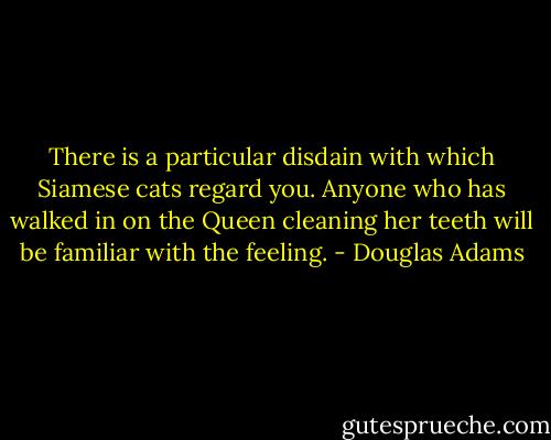There is a particular disdain with which Siamese cats regard you. Anyone who has walked in on the Queen cleaning her teeth will be familiar with the feeling. - Douglas Adams