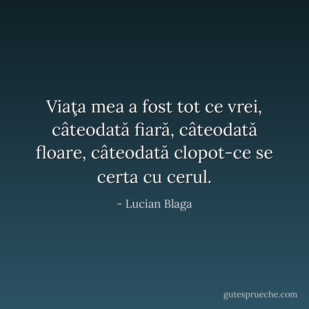 Viaţa mea a fost tot ce vrei,<br />câteodată fiară,<br />câteodată floare,<br />câteodată clopot-ce se certa cu cerul. - Lucian Blaga