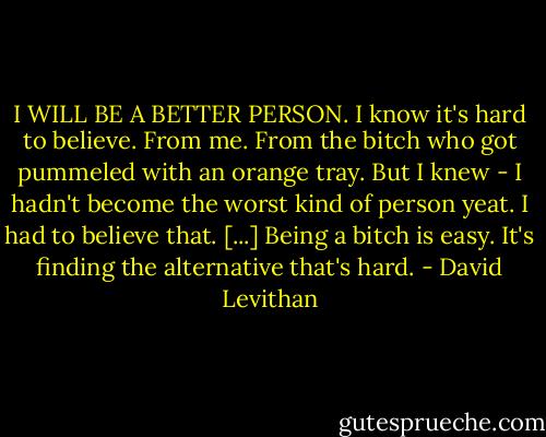 I WILL BE A BETTER PERSON. I know it's hard to believe. From me. From the bitch who got pummeled with an orange tray. But I knew - I hadn't become the worst kind of person yeat. I had to believe that.<br />[...]<br />Being a bitch is easy. It's finding the alternative that's hard. - David Levithan