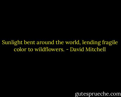 Sunlight bent around the world, lending fragile color to wildflowers. - David Mitchell