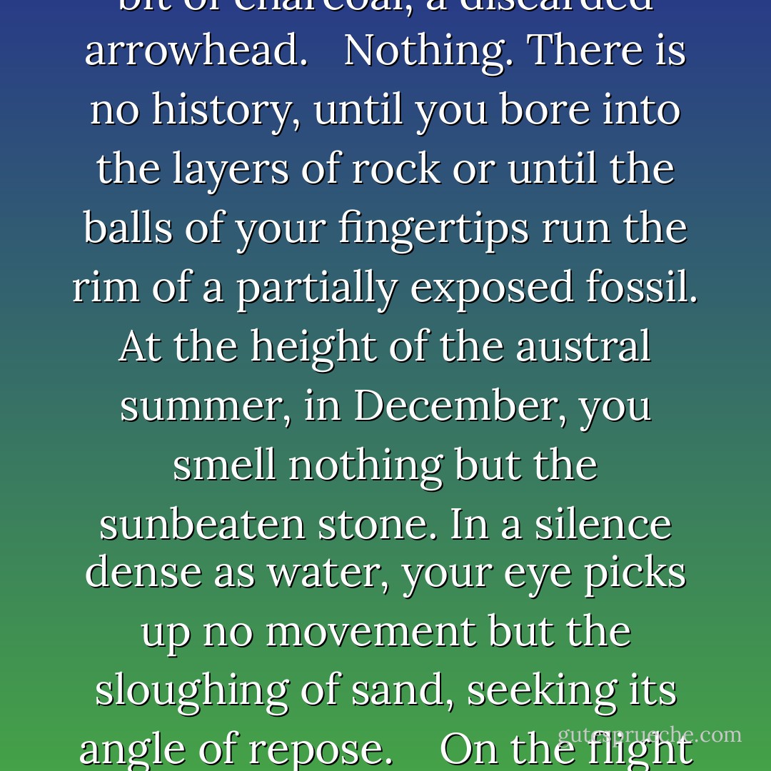 In Antartica, The Wright and half a dozen other valleys in the Central Transantarctic Mountains are collectively referred to as the dry valleys. It has not rained here in two million years. No animal abides, no plant grows. A persistent, sometimes ferocious wind has stripped the country to stone and gravel, to streamers of sand. The huge valleys stand stark as empty fjords. You look in vain for any conventional sign of human history- the vestige of a protective wall, a bit of charcoal, a discarded arrowhead.<br /><br /> Nothing. There is no history, until you bore into the layers of rock or until the balls of your fingertips run the rim of a partially exposed fossil. At the height of the austral summer, in December, you smell nothing but the sunbeaten stone. In a silence dense as water, your eye picks up no movement but the sloughing of sand, seeking its angle of repose.<br /> <br /> On the flight in from New Zealand it had occurred to me, from what I had read and heard, that Antarctica retained Earth’s primitive link, however tenuous, with space, with the void that stretched out to Jupiter and Uranus. At the seabird rookeries of the Canadian Arctic or on the grasslands of the Serengeti, you can feel the vitality of the original creation; in the dry valleys you sense sharply what came before. The Archeozoic is like fresh spoor here. - Barry  Lopez