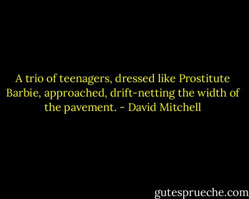A trio of teenagers, dressed like Prostitute Barbie, approached, drift-netting the width of the pavement. - David Mitchell