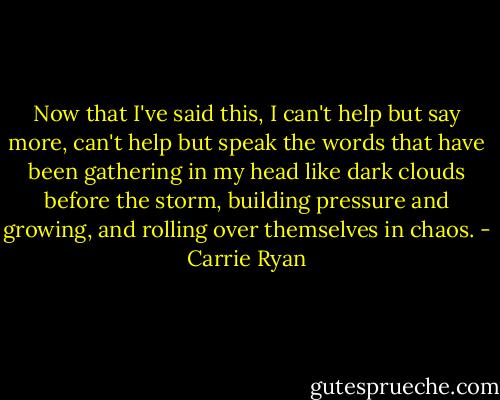Now that I've said this, I can't help but say more, can't help but speak the words that have been gathering in my head like dark clouds before the storm, building pressure and growing, and rolling over themselves in chaos. - Carrie Ryan