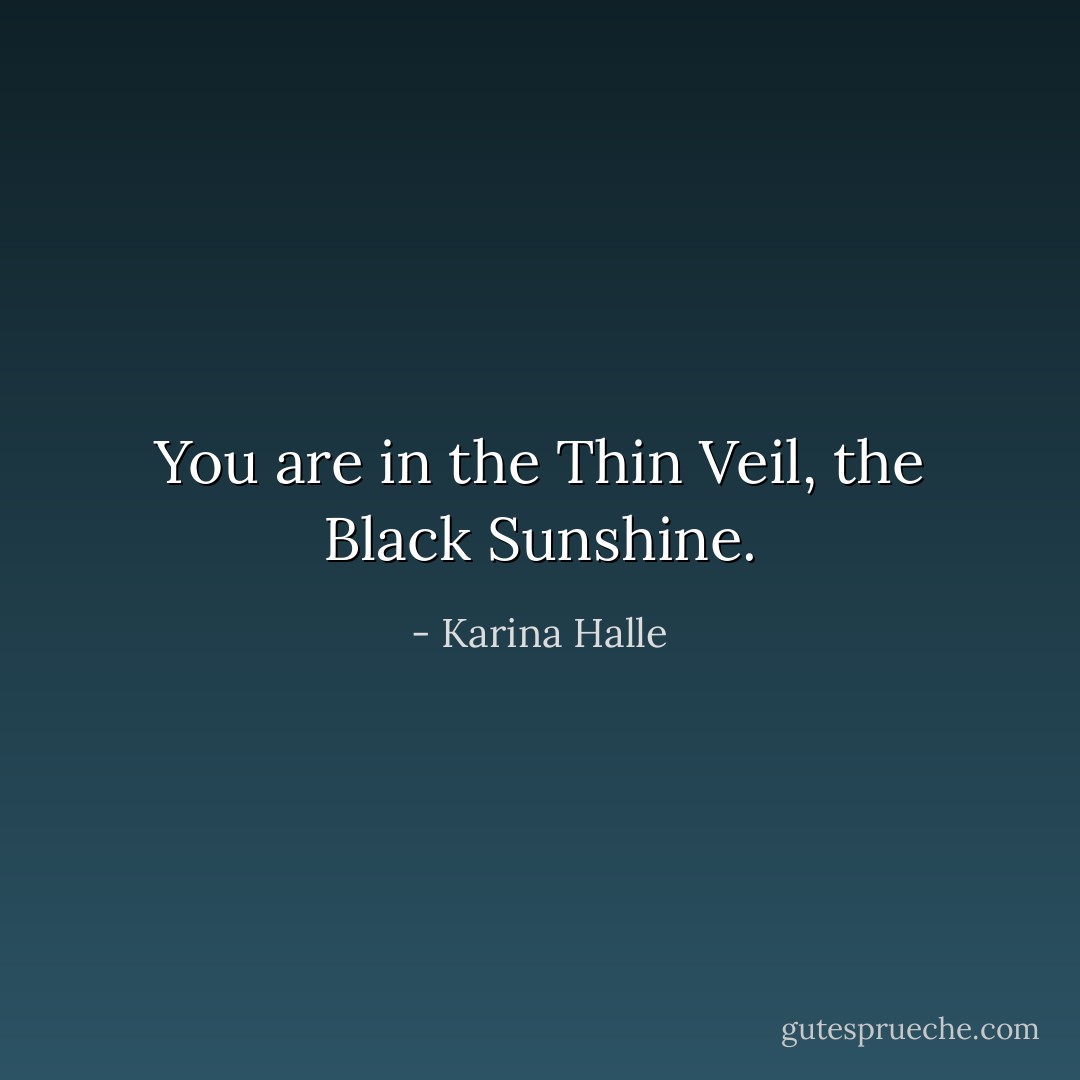 You are in the Thin Veil, the Black Sunshine. - Karina Halle