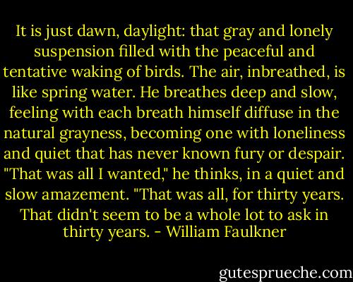 It is just dawn, daylight: that gray and lonely suspension filled with the peaceful and tentative waking of birds. The air, inbreathed, is like spring water. He breathes deep and slow, feeling with each breath himself diffuse in the natural grayness, becoming one with loneliness and quiet that has never known fury or despair. "That was all I wanted," he thinks, in a quiet and slow amazement. "That was all, for thirty years. That didn't seem to be a whole lot to ask in thirty years. - William Faulkner