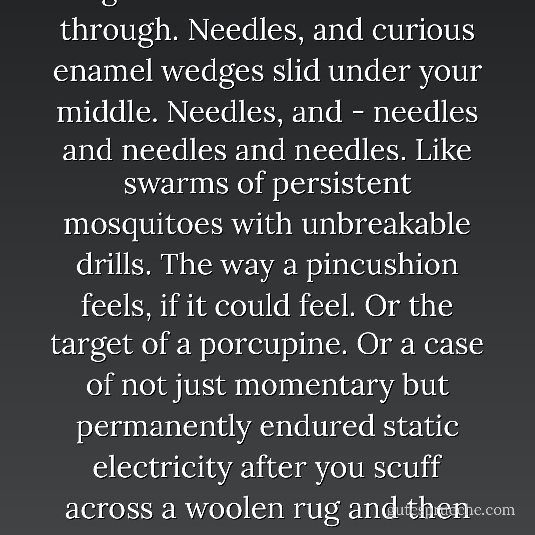 Then the long nights, that were also days, in the hospital. And the long blanks, that were also nights. Needles, and angled glass rods to suck water through. Needles, and curious enamel wedges slid under your middle. Needles, and - needles and needles and needles. Like swarms of persistent mosquitoes with unbreakable drills. The way a pincushion feels, if it could feel. Or the target of a porcupine. Or a case of not just momentary but permanently endured static electricity after you scuff across a woolen rug and then put your finger on a light switch. Even food was a needle - a jab into a vein...<br /><br />("For The Rest Of Her Life") - Cornell Woolrich