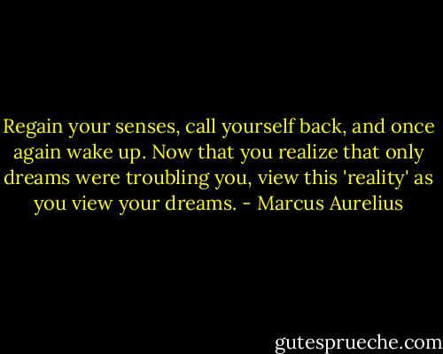 Regain your senses, call yourself back, and once again wake up. Now that you realize that only dreams were troubling you, view this 'reality' as you view your dreams. - Marcus Aurelius