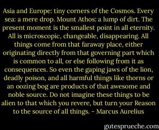 Asia and Europe: tiny corners of the Cosmos. Every sea: a mere drop. Mount Athos: a lump of dirt. The present moment is the smallest point in all eternity. All is microscopic, changeable, disappearing. All things come from that faraway place, either originating directly from that governing part which is common to all, or else following from it as consequences. So even the gaping jaws of the lion, deadly poison, and all harmful things like thorns or an oozing bog are products of that awesome and noble source. Do not imagine these things to be alien to that which you revere, but turn your Reason to the source of all things. - Marcus Aurelius