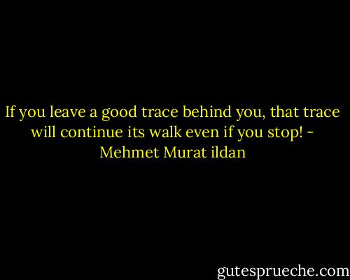 If you leave a good trace behind you, that trace will continue its walk even if you stop! - Mehmet Murat ildan