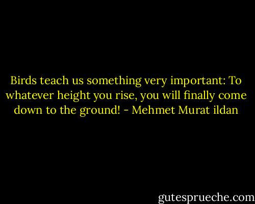 Birds teach us something very important: To whatever height you rise, you will finally come down to the ground! - Mehmet Murat ildan