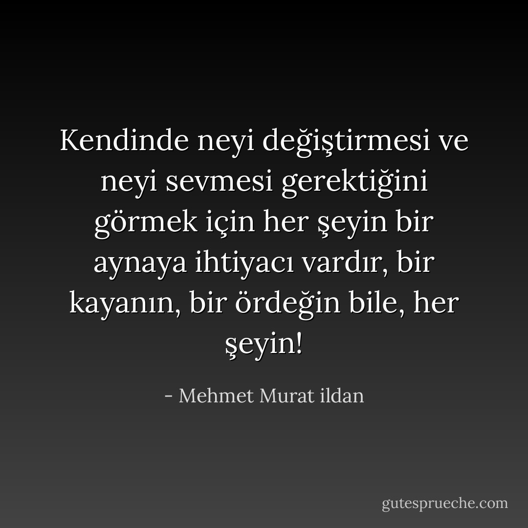 Kendinde neyi değiştirmesi ve neyi sevmesi gerektiğini görmek için her şeyin bir aynaya ihtiyacı vardır, bir kayanın, bir ördeğin bile, her şeyin! - Mehmet Murat ildan