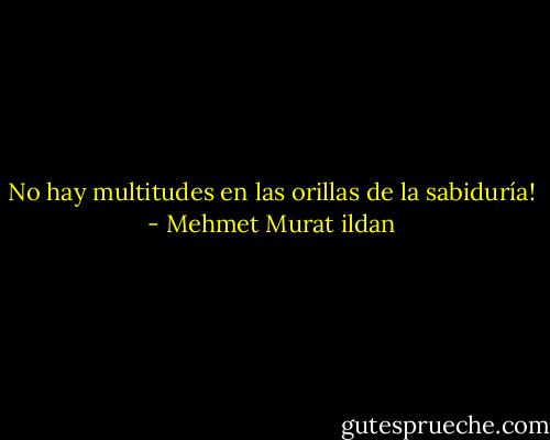 No hay multitudes en las orillas de la sabiduría! - Mehmet Murat ildan