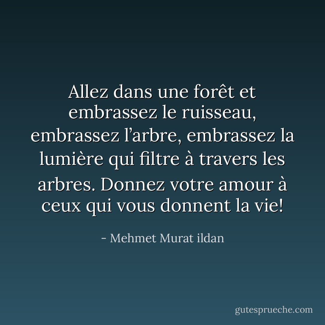 Allez dans une forêt et embrassez le ruisseau, embrassez l’arbre, embrassez la lumière qui filtre à travers les arbres. Donnez votre amour à ceux qui vous donnent la vie! - Mehmet Murat ildan