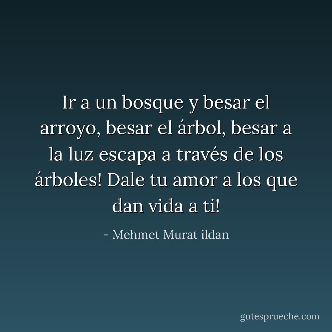 Ir a un bosque y besar el arroyo, besar el árbol, besar a la luz escapa a través de los árboles! Dale tu amor a los que dan vida a ti! - Mehmet Murat ildan