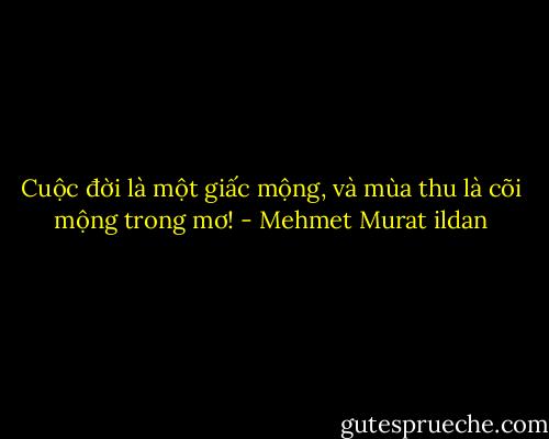 Cuộc đời là một giấc mộng, và mùa thu là cõi mộng trong mơ! - Mehmet Murat ildan