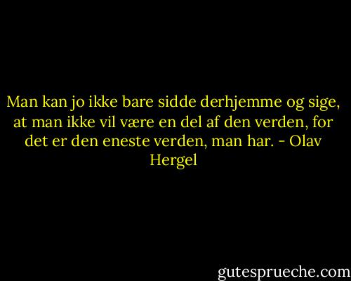 Man kan jo ikke bare sidde derhjemme og sige, at man ikke vil være en del af den verden, for det er den eneste verden, man har. - Olav Hergel