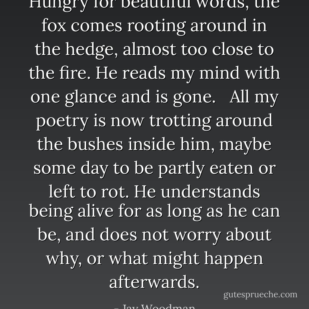 Hungry for beautiful words, the fox comes rooting around in the hedge, almost too close to the fire. He reads my mind with one glance and is gone. <br /><br />All my poetry is now trotting around the bushes inside him, maybe some day to be partly eaten or left to rot. He understands being alive for as long as he can be, and does not worry about why, or what might happen afterwards. - Jay Woodman