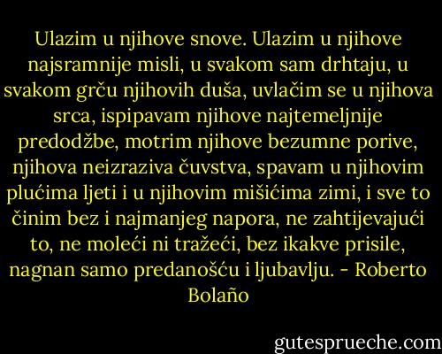 Ulazim u njihove snove. Ulazim u njihove najsramnije misli, u svakom sam drhtaju, u svakom grču njihovih duša, uvlačim se u njihova srca, ispipavam njihove najtemeljnije predodžbe, motrim njihove bezumne porive, njihova neizraziva čuvstva, spavam u njihovim plućima ljeti i u njihovim mišićima zimi, i sve to činim bez i najmanjeg napora, ne zahtijevajući to, ne moleći ni tražeći, bez ikakve prisile, nagnan samo predanošću i ljubavlju. - Roberto Bolaño