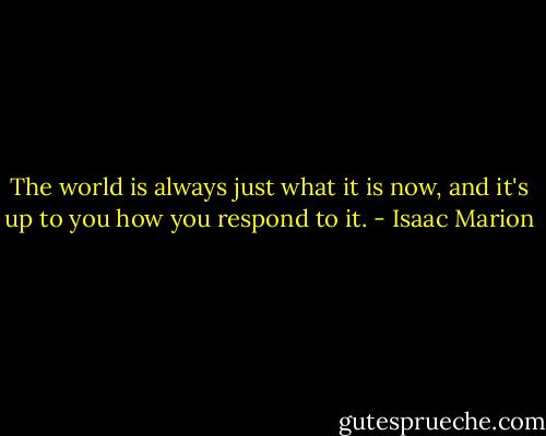 The world is always just what it is now, and it's up to you how you respond to it. - Isaac Marion