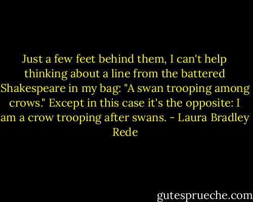 Just a few feet behind them, I can't help thinking about a line from the battered Shakespeare in my bag: "A swan trooping among crows." Except in this case it's the opposite: I am a crow trooping after swans. - Laura Bradley Rede
