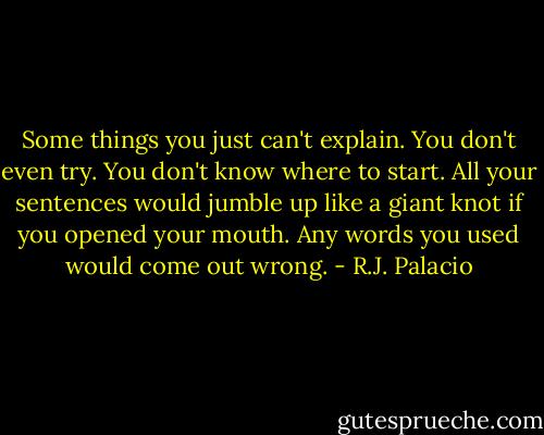Some things you just can't explain. You don't even try. You don't know where to start. All your sentences would jumble up like a giant knot if you opened your mouth. Any words you used would come out wrong. - R.J. Palacio