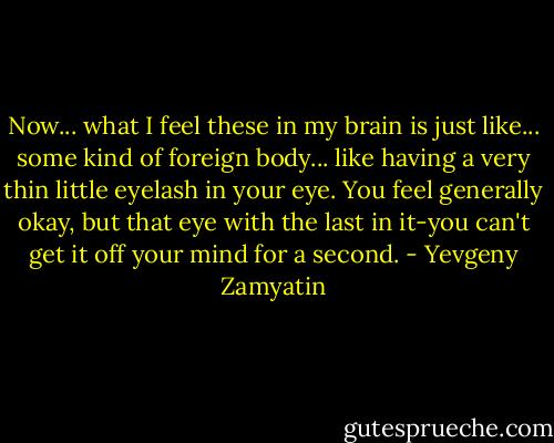 Now... what I feel these in my brain is just like... some kind of foreign body... like having a very thin little eyelash in your eye. You feel generally okay, but that eye with the last in it-you can't get it off your mind for a second. - Yevgeny Zamyatin