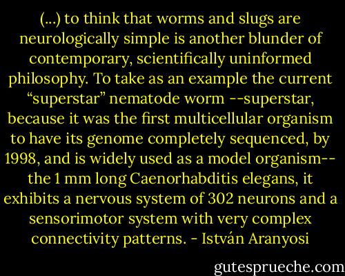 (...) to think that worms and slugs are neurologically simple is another blunder of contemporary, scientifically uninformed philosophy. To take as an example the current “superstar” nematode worm --superstar, because it was the first multicellular organism to have its genome completely sequenced, by 1998, and is widely used as a model organism-- the 1 mm long Caenorhabditis elegans, it exhibits a nervous system of 302 neurons and a sensorimotor system with very complex connectivity patterns. - István Aranyosi