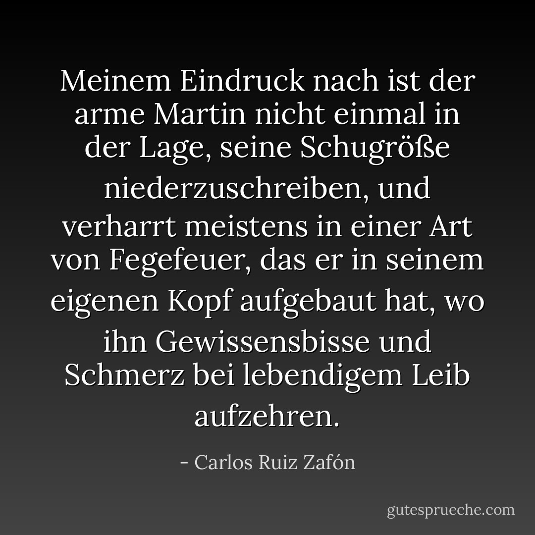 Meinem Eindruck nach ist der arme Martin nicht einmal in der Lage, seine Schugröße niederzuschreiben, und verharrt meistens in einer Art von Fegefeuer, das er in seinem eigenen Kopf aufgebaut hat, wo ihn Gewissensbisse und Schmerz bei lebendigem Leib aufzehren. - Carlos Ruiz Zafón