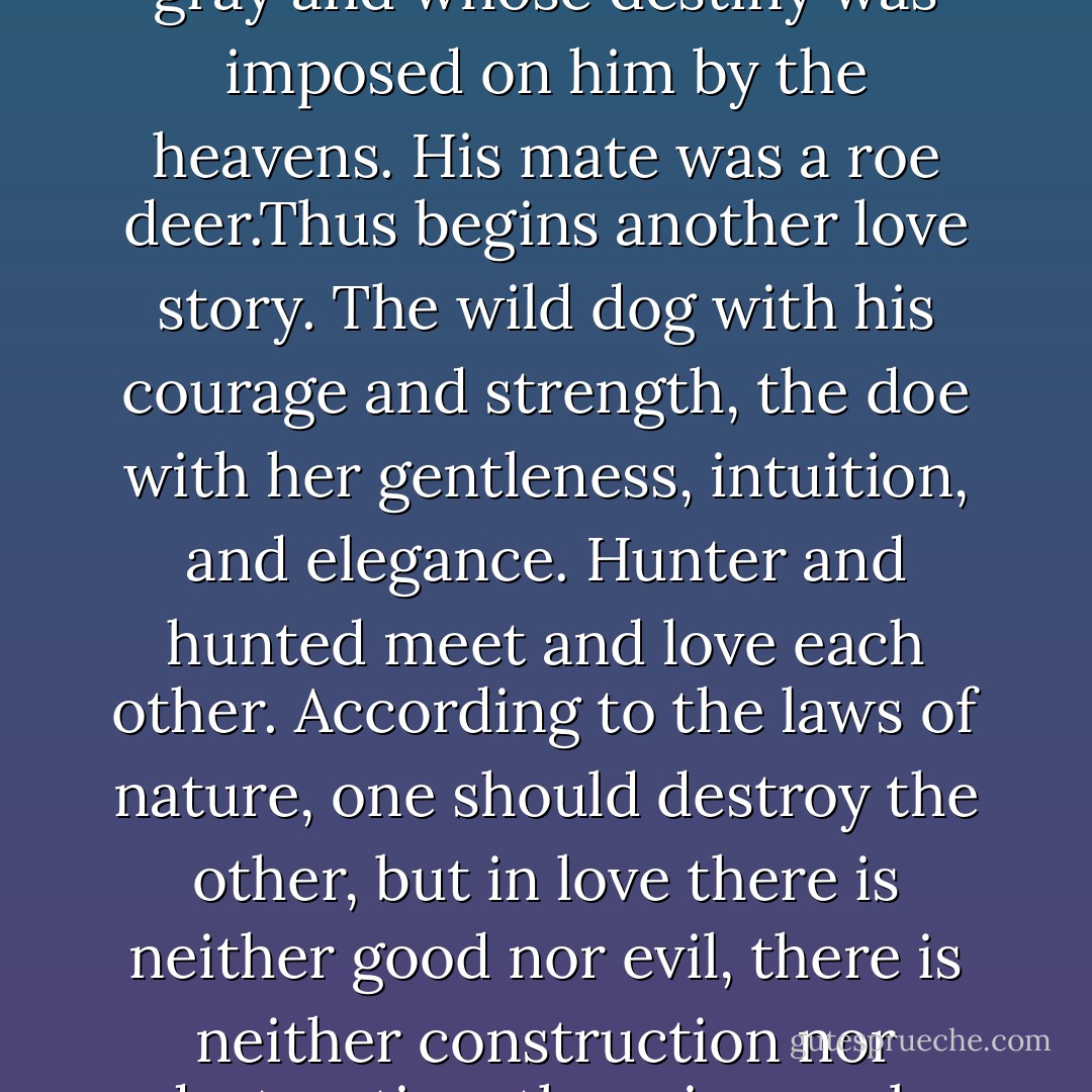 In the words of the Mongolian creation myth: ‘There came a wild dog who was blue and gray and whose destiny was imposed on him by the heavens. His mate was a roe deer.Thus begins another love story. The wild dog with his courage and strength, the doe<br />with her gentleness, intuition, and elegance. Hunter and hunted meet and love each other.<br />According to the laws of nature, one should destroy the other, but in love there is neither<br />good nor evil, there is neither construction nor destruction, there is merely movement.<br />And love changes the laws of nature. - Paulo Coelho