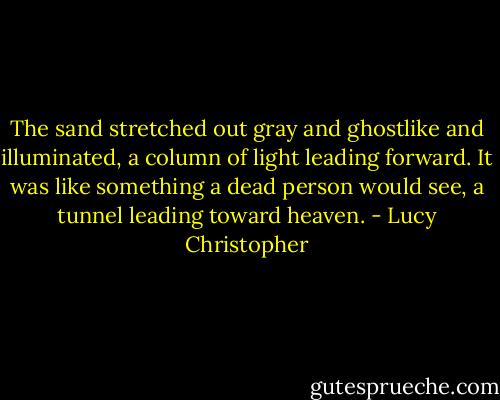 The sand stretched out gray and ghostlike and illuminated, a column of light leading forward. It was like something a dead person would see, a tunnel leading toward heaven. - Lucy Christopher