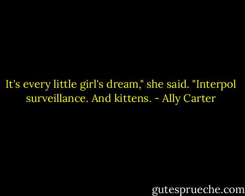 It's every little girl's dream," she said. "Interpol surveillance. And kittens. - Ally Carter