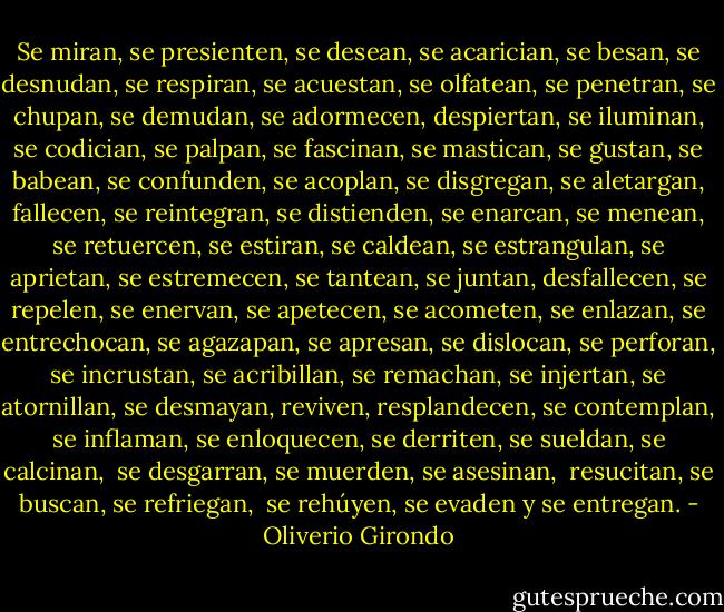 Se miran, se presienten, se desean,<br />se acarician, se besan, se desnudan,<br />se respiran, se acuestan, se olfatean,<br />se penetran, se chupan, se demudan,<br />se adormecen, despiertan, se iluminan,<br />se codician, se palpan, se fascinan,<br />se mastican, se gustan, se babean,<br />se confunden, se acoplan, se disgregan,<br />se aletargan, fallecen, se reintegran,<br />se distienden, se enarcan, se menean,<br />se retuercen, se estiran, se caldean,<br />se estrangulan, se aprietan, se estremecen,<br />se tantean, se juntan, desfallecen,<br />se repelen, se enervan, se apetecen,<br />se acometen, se enlazan, se entrechocan,<br />se agazapan, se apresan, se dislocan,<br />se perforan, se incrustan, se acribillan,<br />se remachan, se injertan, se atornillan,<br />se desmayan, reviven, resplandecen,<br />se contemplan, se inflaman, se enloquecen,<br />se derriten, se sueldan, se calcinan, <br />se desgarran, se muerden, se asesinan, <br />resucitan, se buscan, se refriegan, <br />se rehúyen, se evaden y se entregan. - Oliverio Girondo
