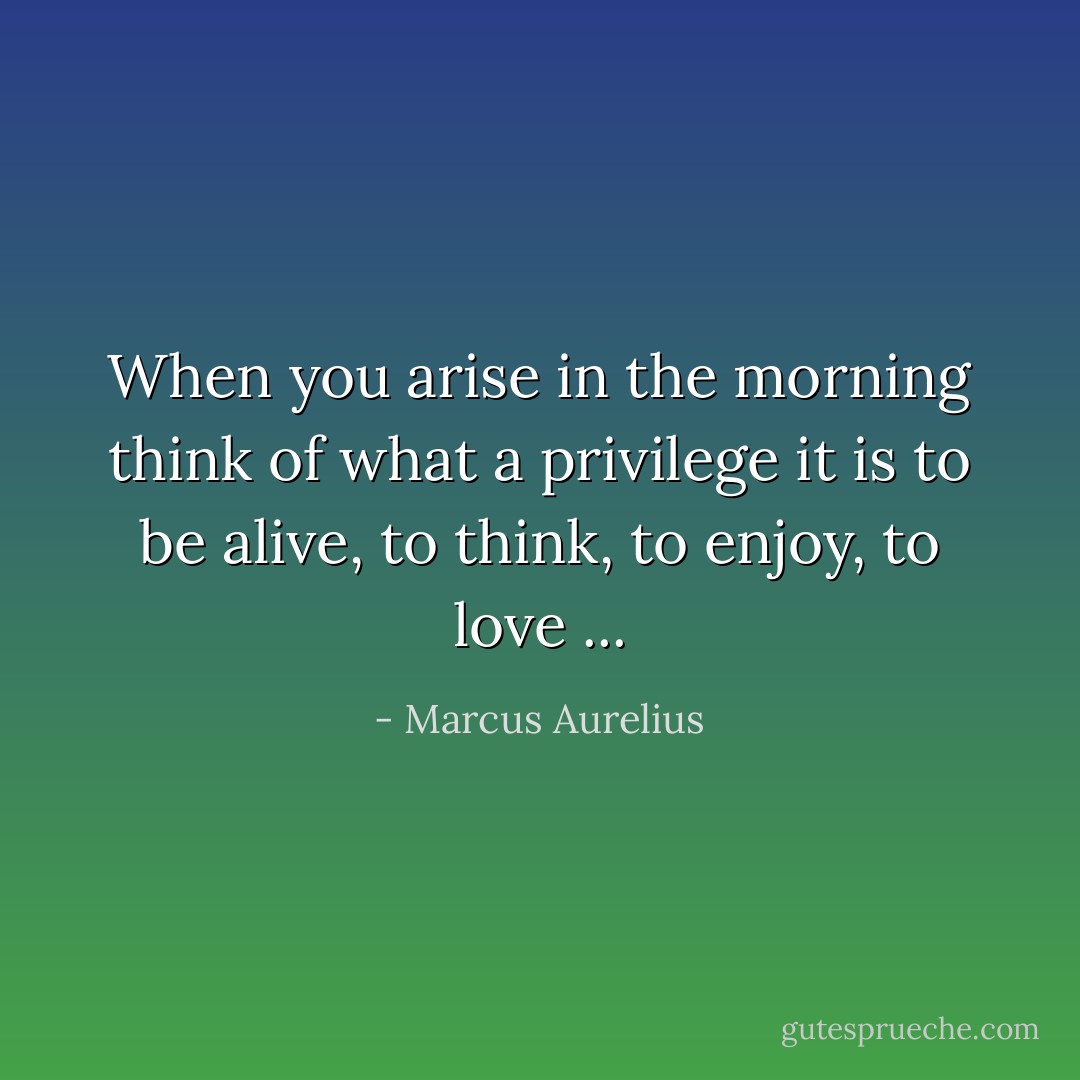 When you arise in the morning think of what a privilege it is to be alive, to think, to enjoy, to love ... - Marcus Aurelius