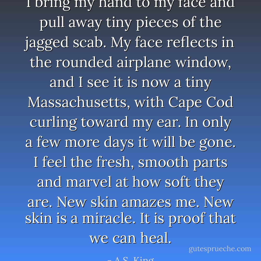 I bring my hand to my face and pull away tiny pieces of the jagged scab. My face reflects in the rounded airplane window, and I see it is now a tiny Massachusetts, with Cape Cod curling toward my ear. In only a few more days it will be gone. I feel the fresh, smooth parts and marvel at how soft they are. New skin amazes me. New skin is a miracle. It is proof that we can heal. - A.S. King
