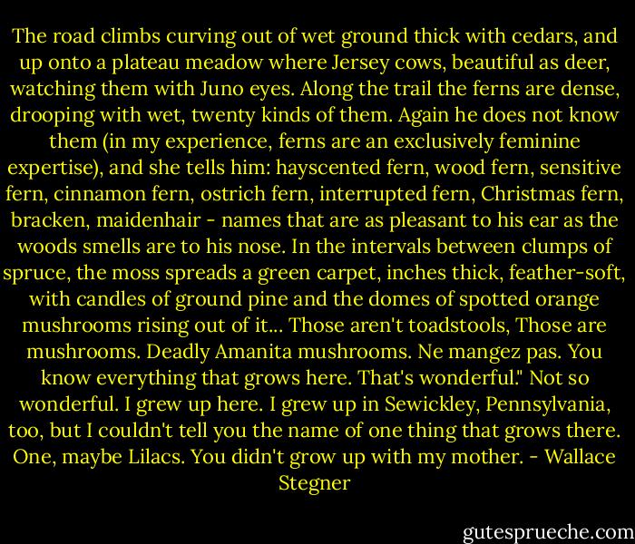 The road climbs curving out of wet ground thick with cedars, and up onto a plateau meadow where Jersey cows, beautiful as deer, watching them with Juno eyes. Along the trail the ferns are dense, drooping with wet, twenty kinds of them. Again he does not know them (in my experience, ferns are an exclusively feminine expertise), and she tells him: hayscented fern, wood fern, sensitive fern, cinnamon fern, ostrich fern, interrupted fern, Christmas fern, bracken, maidenhair - names that are as pleasant to his ear as the woods smells are to his nose. In the intervals between clumps of spruce, the moss spreads a green carpet, inches thick, feather-soft, with candles of ground pine and the domes of spotted orange mushrooms rising out of it...<br />Those aren't toadstools, Those are mushrooms. Deadly Amanita mushrooms. Ne mangez pas.<br />You know everything that grows here. That's wonderful." Not so wonderful. I grew up here. I grew up in Sewickley, Pennsylvania, too, but I couldn't tell you the name of one thing that grows there. One, maybe Lilacs.<br />You didn't grow up with my mother. - Wallace Stegner