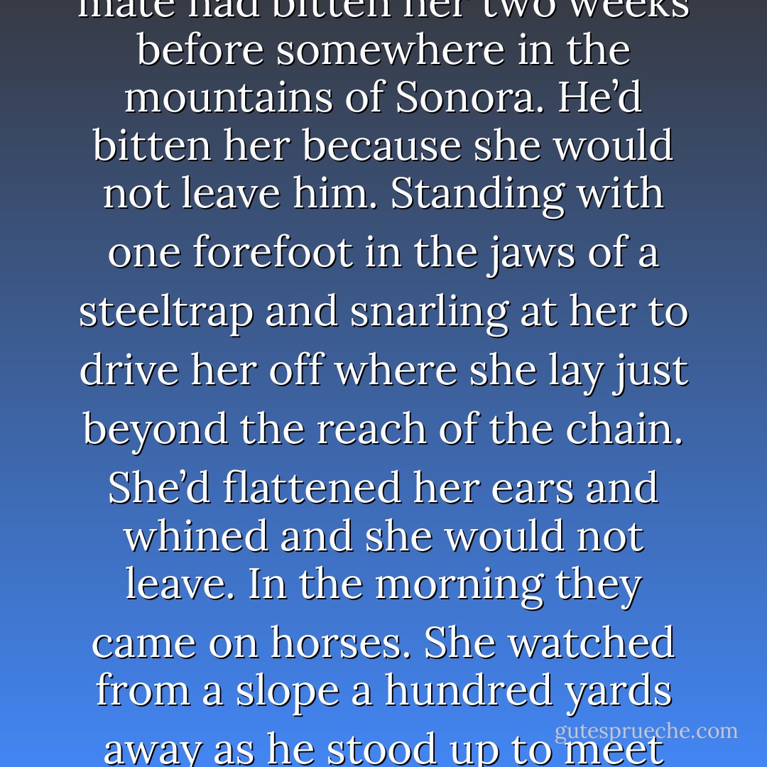 She carried a scabbedover wound on her hip where her mate had bitten her two weeks before somewhere in the mountains of Sonora. He’d bitten her because she would not leave him. Standing with one forefoot in the jaws of a steeltrap and snarling at her to drive her off where she lay just beyond the reach of the chain. She’d flattened her ears and whined and she would not leave. In the morning they came on horses. She watched from a slope a hundred yards away as he stood up to meet them. - Cormac McCarthy