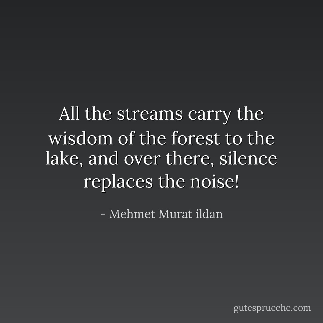 All the streams carry the wisdom of the forest to the lake, and over there, silence replaces the noise! - Mehmet Murat ildan