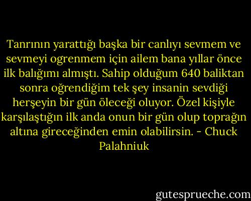 Tanrının yarattığı başka bir canlıyı sevmem ve sevmeyi ogrenmem için ailem bana yıllar önce ilk balığımı almıştı. Sahip olduğum 640 baliktan sonra oğrendiğim tek şey insanin sevdiği herşeyin bir gün öleceği oluyor. Özel kişiyle karşılaştığın ilk anda onun bir gün olup toprağın altına gireceğinden emin olabilirsin. - Chuck Palahniuk