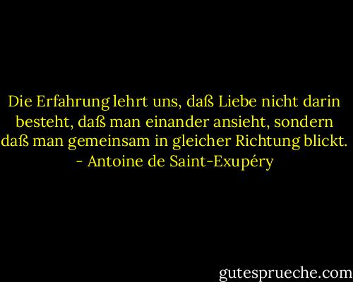 Die Erfahrung lehrt uns, daß Liebe nicht darin besteht, daß man einander ansieht, sondern daß man gemeinsam in gleicher Richtung blickt. - Antoine de Saint-Exupéry