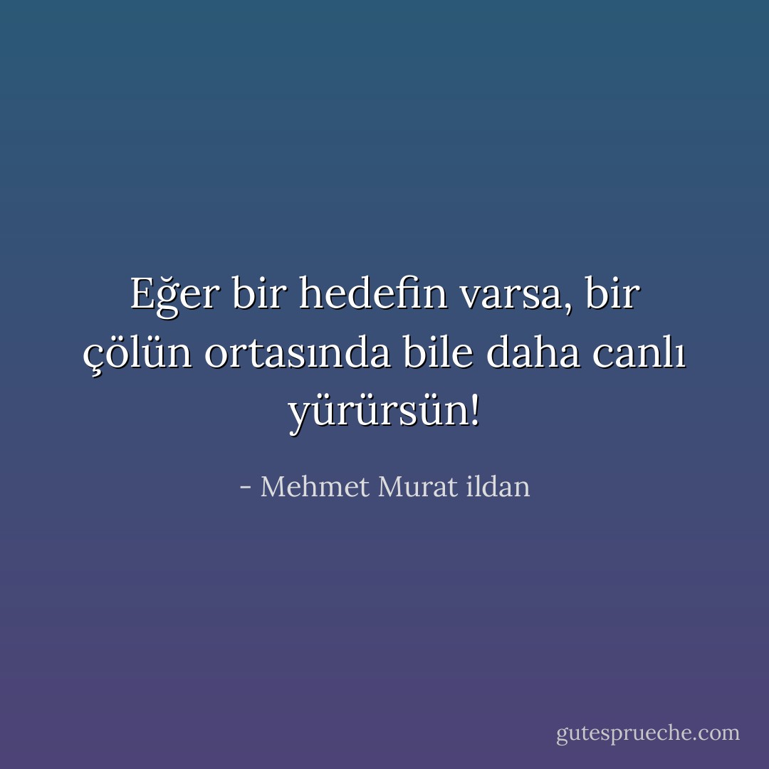 Eğer bir hedefin varsa, bir çölün ortasında bile daha canlı yürürsün! - Mehmet Murat ildan