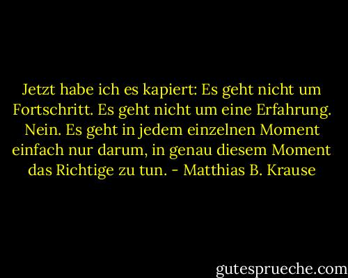 Jetzt habe ich es kapiert: Es geht nicht um Fortschritt. Es geht nicht um eine Erfahrung. Nein. Es geht in jedem einzelnen Moment einfach nur darum, in genau diesem Moment das Richtige zu tun. - Matthias B. Krause