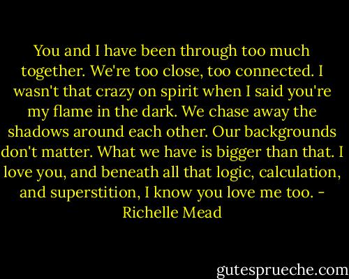 You and I have been through too much together. We're too close, too connected. I wasn't that crazy on spirit when I said you're my flame in the dark. We chase away the shadows around each other. Our backgrounds don't matter. What we have is bigger than that. I love you, and beneath all that logic, calculation, and superstition, I know you love me too. - Richelle Mead