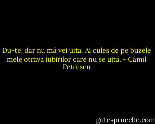 Du-te, dar nu mă vei uita. Ai cules de pe buzele mele otrava iubirilor care nu se uită. - Camil Petrescu