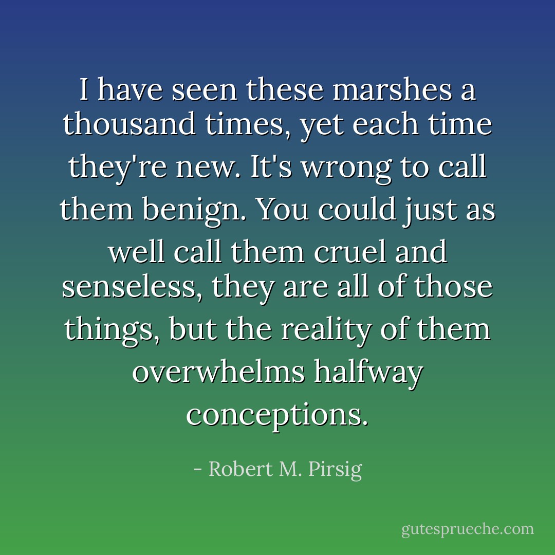 I have seen these marshes a thousand times, yet each time they're new. It's wrong to call them benign. You could just as well call them cruel and senseless, they are all of those things, but the reality of them overwhelms halfway conceptions. - Robert M. Pirsig