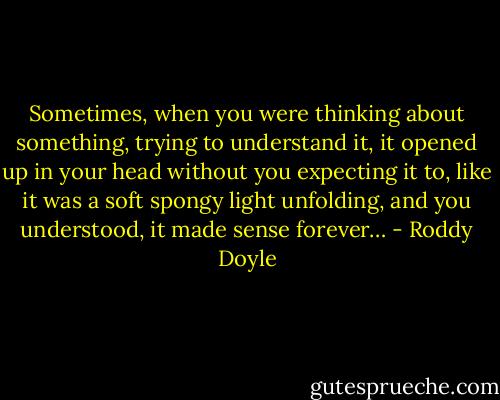 Sometimes, when you were thinking about something, trying to understand it, it opened up in your head without you expecting it to, like it was a soft spongy light unfolding, and you understood, it made sense forever… - Roddy Doyle