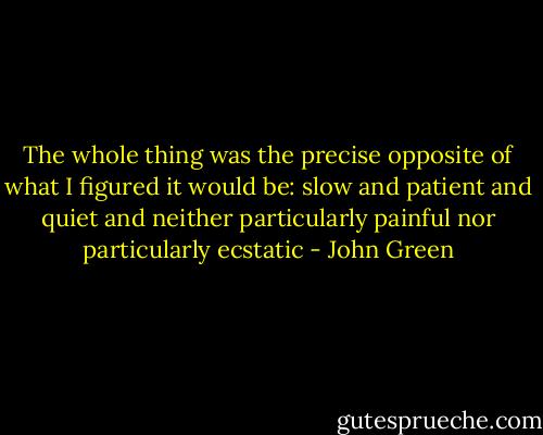 The whole thing was the precise opposite of what I figured it would be: slow and patient and quiet and neither particularly painful nor particularly ecstatic - John Green