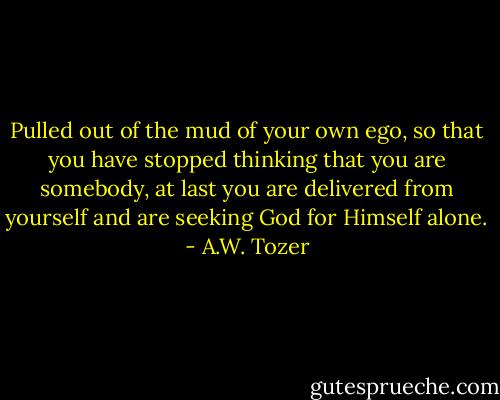 Pulled out of the mud of your own ego, so that you have stopped thinking that you are somebody, at last you are delivered from yourself and are seeking God for Himself alone. - A.W. Tozer